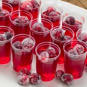 Cranberry Jello Shots