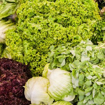lettuce types lettuce types