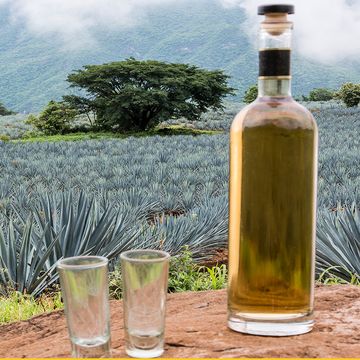 tequila types