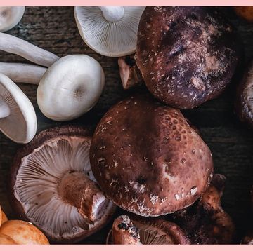 types of mushrooms