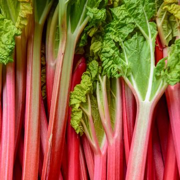 how to cook rhubarb